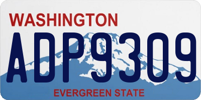 WA license plate ADP9309