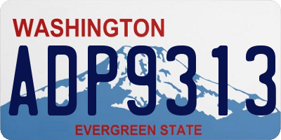 WA license plate ADP9313