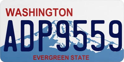 WA license plate ADP9559