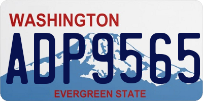WA license plate ADP9565