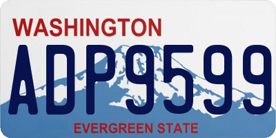 WA license plate ADP9599