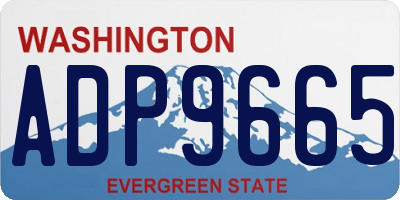WA license plate ADP9665