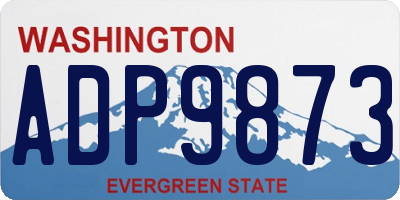 WA license plate ADP9873