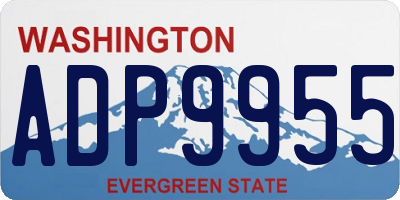 WA license plate ADP9955
