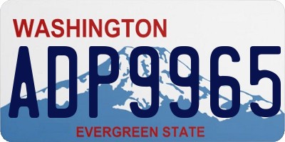 WA license plate ADP9965