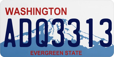 WA license plate ADQ3313