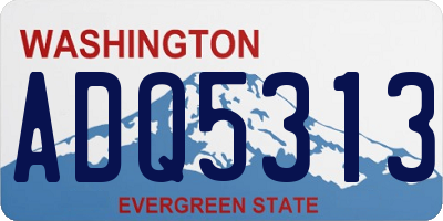 WA license plate ADQ5313