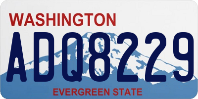WA license plate ADQ8229