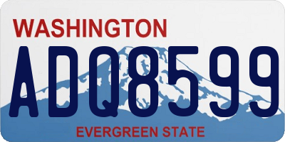 WA license plate ADQ8599