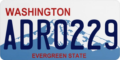 WA license plate ADR0229