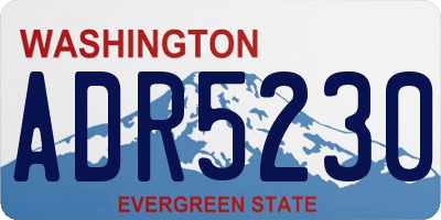 WA license plate ADR5230