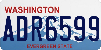 WA license plate ADR6599