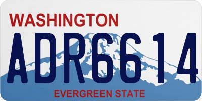 WA license plate ADR6614
