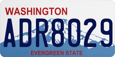 WA license plate ADR8029