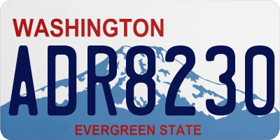 WA license plate ADR8230