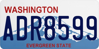 WA license plate ADR8599