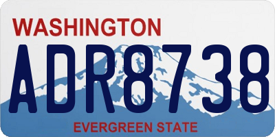 WA license plate ADR8738