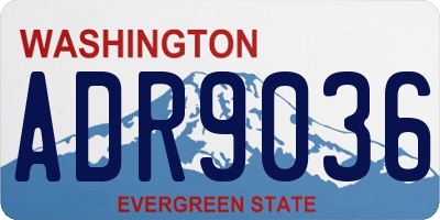 WA license plate ADR9036