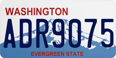 WA license plate ADR9075