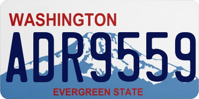 WA license plate ADR9559