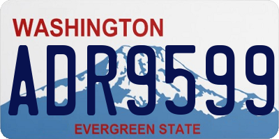WA license plate ADR9599