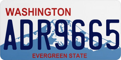 WA license plate ADR9665