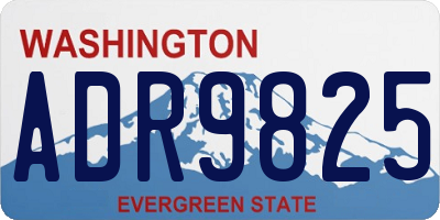 WA license plate ADR9825