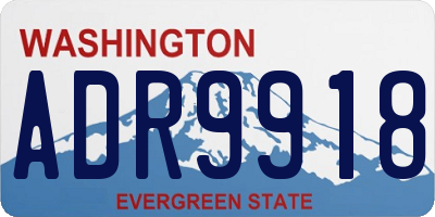 WA license plate ADR9918