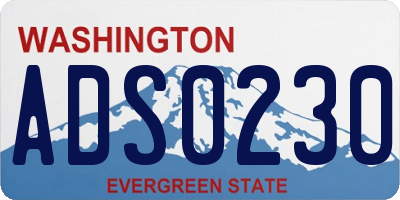 WA license plate ADS0230