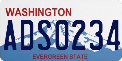 WA license plate ADS0234
