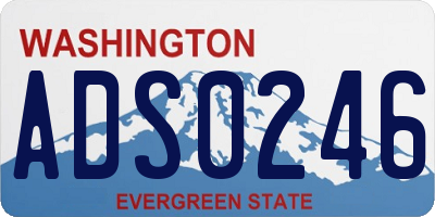 WA license plate ADS0246