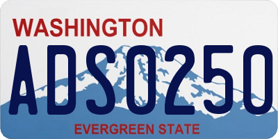 WA license plate ADS0250