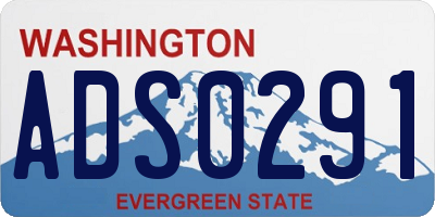 WA license plate ADS0291