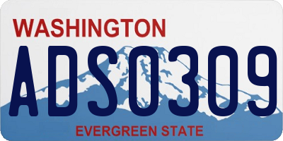WA license plate ADS0309