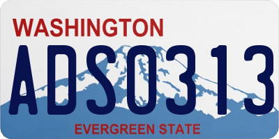 WA license plate ADS0313