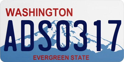 WA license plate ADS0317