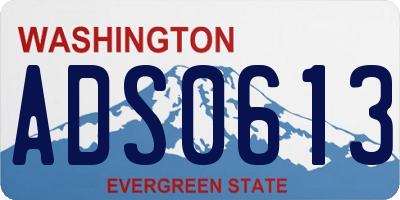 WA license plate ADS0613