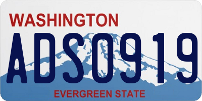 WA license plate ADS0919