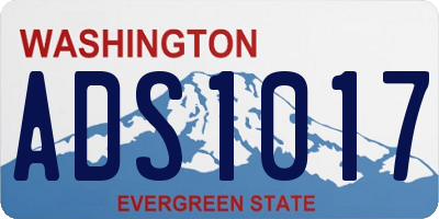 WA license plate ADS1017