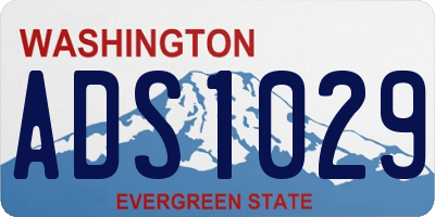 WA license plate ADS1029