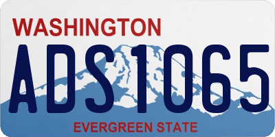WA license plate ADS1065