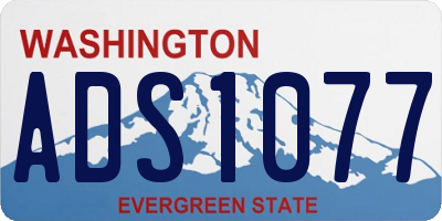 WA license plate ADS1077
