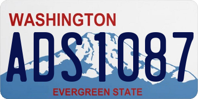 WA license plate ADS1087