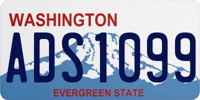 WA license plate ADS1099