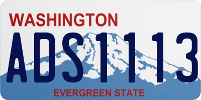 WA license plate ADS1113