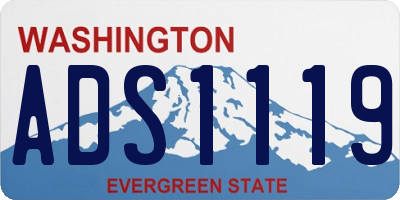 WA license plate ADS1119