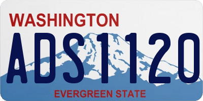 WA license plate ADS1120