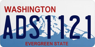 WA license plate ADS1121