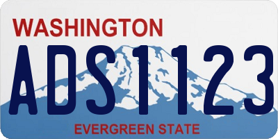 WA license plate ADS1123