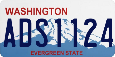 WA license plate ADS1124